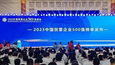 凯发k8国际集团位列2023中国民营企业500强第203位、2023中国制造业民营企业500强第139位